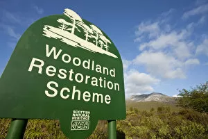Woodland restoration scheme, sign and view of habitat with Beinn Eighe in background