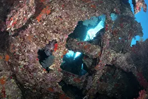 Red Sea Prints: Wreck of the SS Dunraven, sunk in April 1876