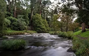 Photographic Effect Prints: Yarra River surrounded by woodland, Warburton, Victoria, Australia. April, 2023