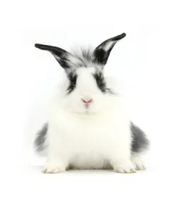 Images Dated 2011: November Collection